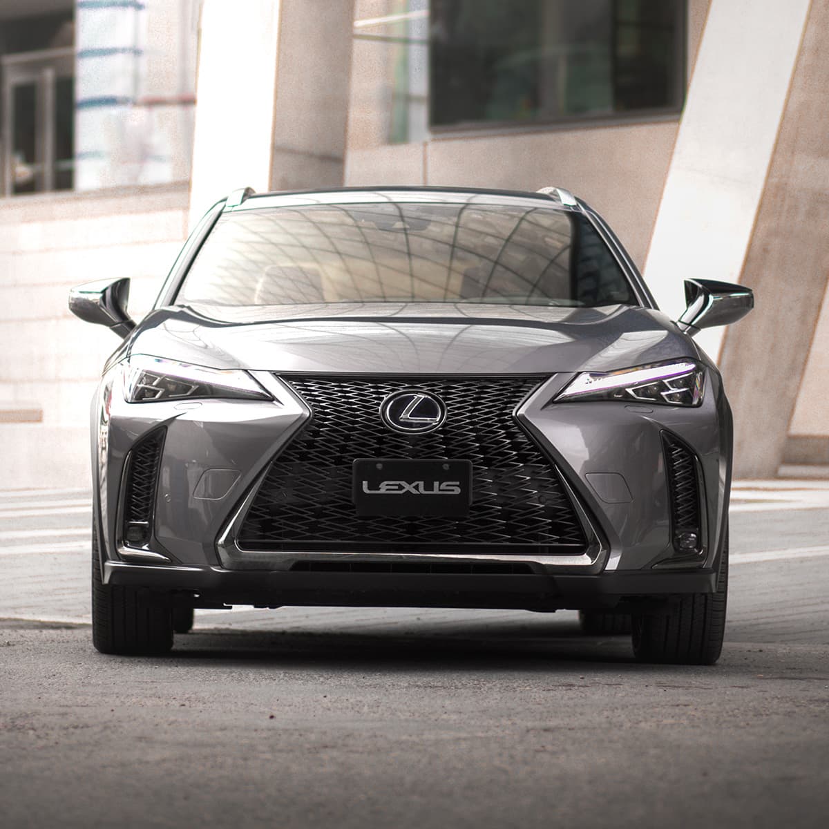 Lexus UX 250h Luxury - Voges Automobile GmbH